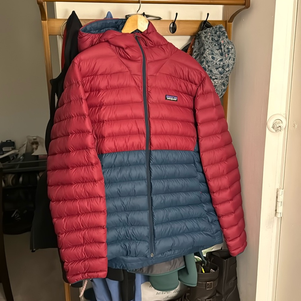 Patagonia Down Sweater Hooded